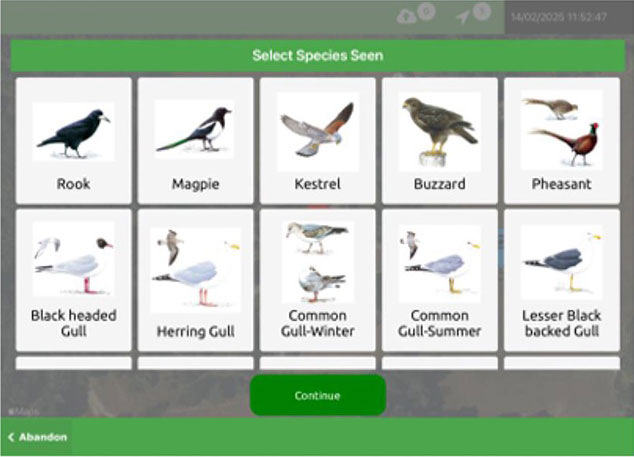 Bird selection screen